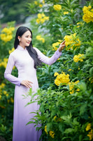 ao-dai-6152102_960_720