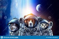 astronaut-pets-wearing-space-suit-elements-image-furnished-nasa-first-trip-to-space-mixed-media-167670622