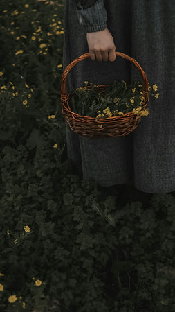 pexels-lostintespace-19182620