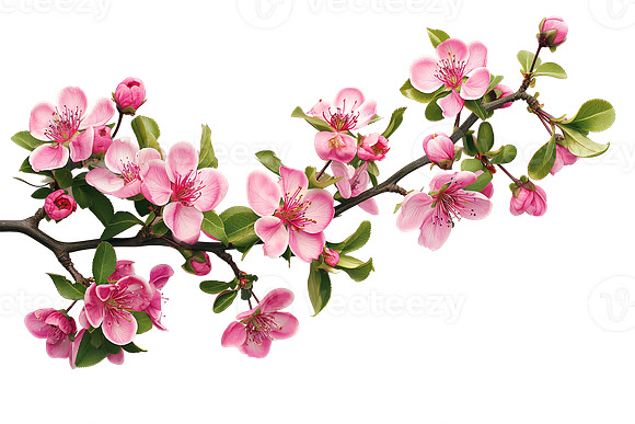 photo_png