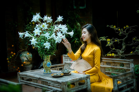 ao-dai-6147436_960_720